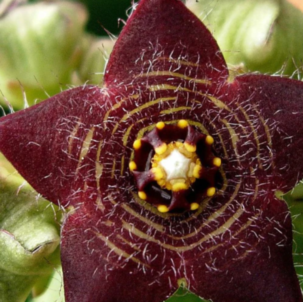 Yu Trim Fit Review Get Up To 25 Off